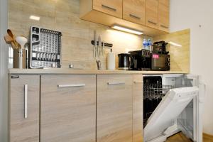 Kuchyňa alebo kuchynka v ubytovaní Apartmány Děčín