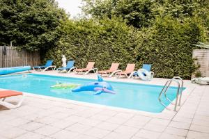 a swimming pool with a blue dolphin in the water at De Markestee in Blesdijke