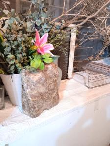 a pink flower in a rock next to a potted plant at 創世紀 in Lun-ting