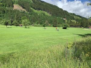 Paesaggio naturale nelle vicinanze dell'appartamento