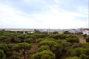 an aerial view of a field with trees at Blife RYA private rooms - Airport stay in Faro