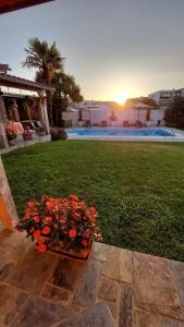 埃斯波森迪的住宿－Villa dos Corcéis，坐在草地上的一盆红花