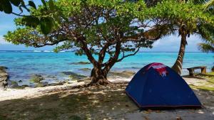 Pantai di atau dekat dengan perkhemahan ini