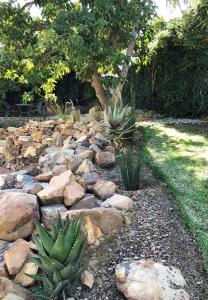 Un jardín con cactus y rocas y un árbol. en Southern Sky House, en Paarl