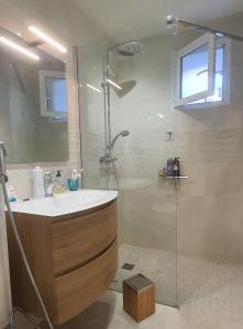 a bathroom with a sink and a shower at Charmant appartement en Rez de jardin in Sartène