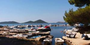 a bunch of boats are docked in a harbor at Apartmani Arta 3 in Drage +7 photos
