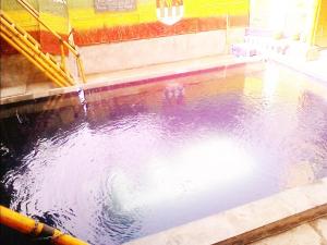 Fotografie z fotogalerie ubytování Little Woodstock Homestay v destinaci Gili Trawangan