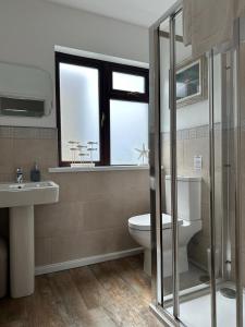 a bathroom with a toilet and a sink and a window at Wheal Frances-Beautifully Fitted Bungalow Helston Cornwall in Helston
