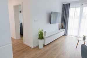 a white living room with a vase with a plant in it at Apartament Ponidzie in Zbludowice