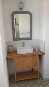 a bathroom with a sink and a mirror at La Demoiselle in Les Ponts-de-Cé +16 photos