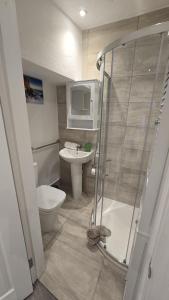 a bathroom with a shower and a toilet and a sink at Central & Stylish, Two Bed, Two Bath in Galway