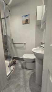 a bathroom with a toilet and a sink at Central & Stylish, Two Bed, Two Bath in Galway