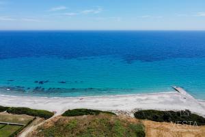 an aerial view of a beach and the ocean at Ipsipili Villa with sea views and private garden in Possidi