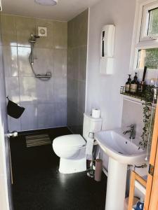 WestbourneにあるShepherds hut with Alpaca viewsのトイレと洗面台付きのバスルーム