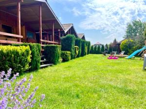a yard with a house and some bushes and flowers at Domki letniskowe Nadia in Grzybowo