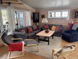 salon z kanapą i stołem w obiekcie Middagslia - cabin at Skrim with amazing view w mieście Omholt