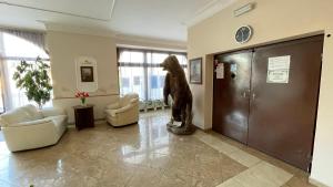 Tetamu yang menginap di Hotel Černý Orel Žatec