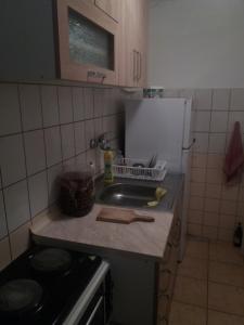 a kitchen counter with a sink and a stove at STIP Centar Private Room in Novo Selo