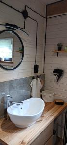 a bathroom with a white sink and a mirror at Domek Skitnica in Mirsk