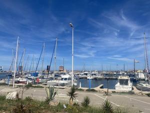 Er staan boten geparkeerd in een jachthaven. bij Villa Le Barcarès, 3 pièces, 6 personnes - FR-1-782-22 in Le Barcarès