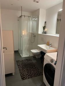 a bathroom with a shower and a toilet and a sink at Idylle am Berliner Stadtrand in Schönefeld