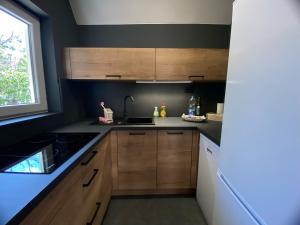 Kuchyň nebo kuchyňský kout v ubytování Apartment Ivan