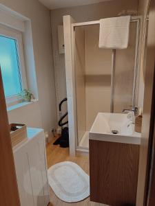 SohrenにあるFerienhaus "Homely House" - No 1の洗面台とシャワー付きのバスルーム