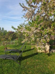 Gallery image of Zahradní chata v Hloubětíně in Prague