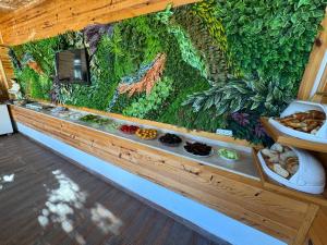 a wall covered in green plants and vegetables at Amsterdam Boutique Hotel in Kemer