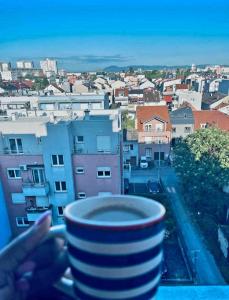 Balkon lub taras w obiekcie Casa de Dinca, 2 bedroom, big balcony, free parking zone