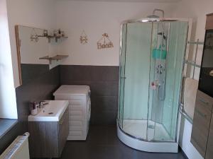 a bathroom with a shower and a sink at Ferienwohnung zur Wacht in Viechtach +19 photos