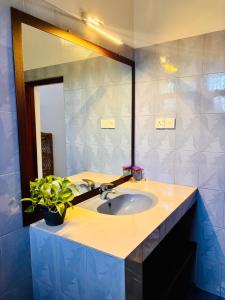a bathroom sink with a mirror and a potted plant at Bay Street in Beruwala