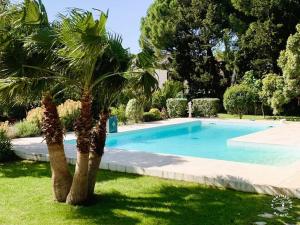 una palmera junto a una piscina en Gîte Piscine, en Narbona