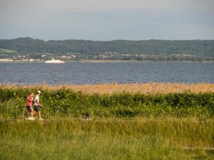 dos personas caminando en la hierba cerca de un cuerpo de agua en Willa Rejs en Krynica Morska