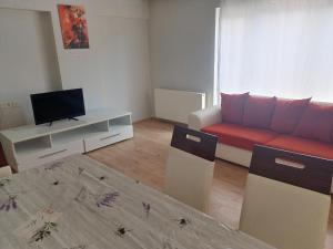 a living room with a couch and a tv at Sky Ankara Big Suit Home in Ankara