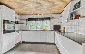 Η κουζίνα ή μικρή κουζίνα στο Holiday Home Knastebakken