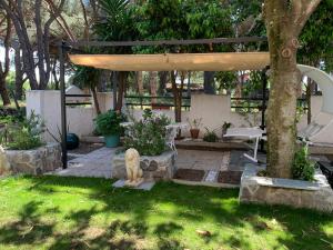 馬里納－迪格羅塞托的住宿－伊莎貝拉別墅酒店，花园内有猫,坐在凉棚下