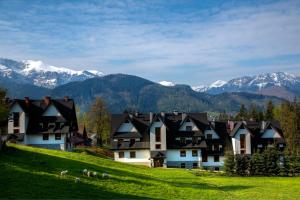 a group of houses on a hill with mountains in the background at Apartament Południowy z widokiem- sauna, jacuzzi, kominek in Kościelisko