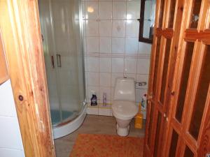 a bathroom with a toilet and a bath tub at Agroturystyka Oczko in Ogonki