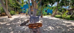 a bird feeder on a tree stump in the sand at Blue House Backpackers Siquijor in San Juan +17 photos