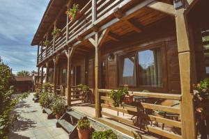 a wooden house with potted plants on the porch at Casa Mister in Sulina