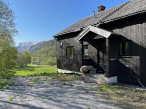 ein Hund, der vor einer schwarzen Scheune steht in der Unterkunft Naturskjønt og sentralt, flott beliggende stor hytte in Fausko