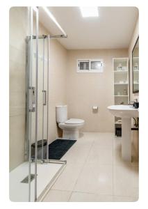La salle de bains est pourvue d'une douche, de toilettes et d'un lavabo. dans l'établissement Centro Monumental, à Pontevedra