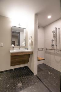 uma casa de banho com um lavatório e um chuveiro em The Bee Hotel, Danville em Danville