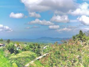 Afbeelding uit fotogalerij van Highland Santi Homestay in Karangasem