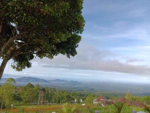 Afbeelding uit fotogalerij van Highland Santi Homestay in Karangasem