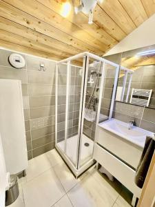un baño con ducha y lavabo en La TANIÈRE du LOUP, en Le Dévoluy