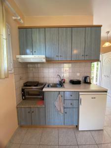 a kitchen with wooden cabinets and a sink and a refrigerator at Myrtos Hotel in Divarata