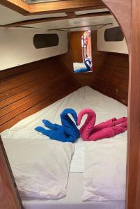 Ảnh trong thư viện ảnh của LA REGINA ở Lido di Ostia