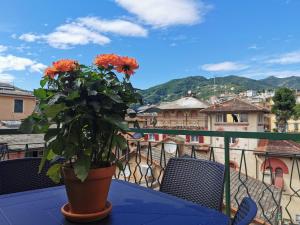 a potted plant sitting on a table on a balcony at VERDEACQUA Flat in Rapallo